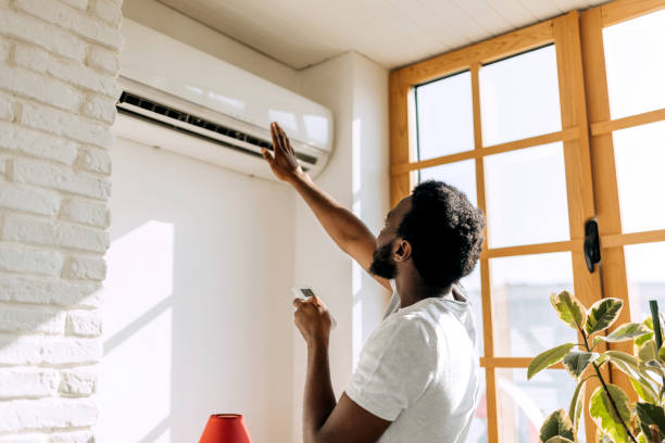 Best HVAC air duct cleaning  in Remerton, GA