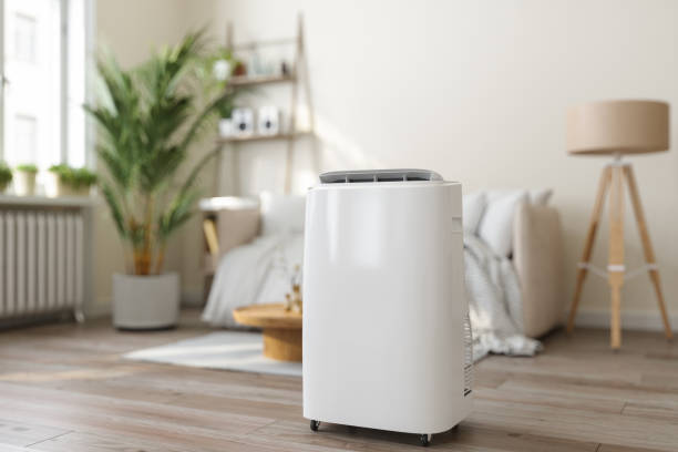 Best HVAC air duct cleaning  in Remerton, GA